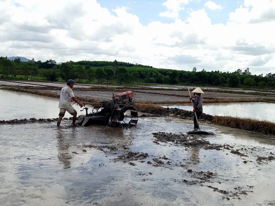 Huyện M’Drắk tập trung xuống giống cây trồng vụ Đông Xuân 2017-2018